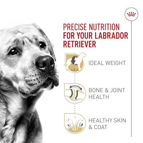 ROYAL CANIN Labrador Retriever Adult Dry Dog Food