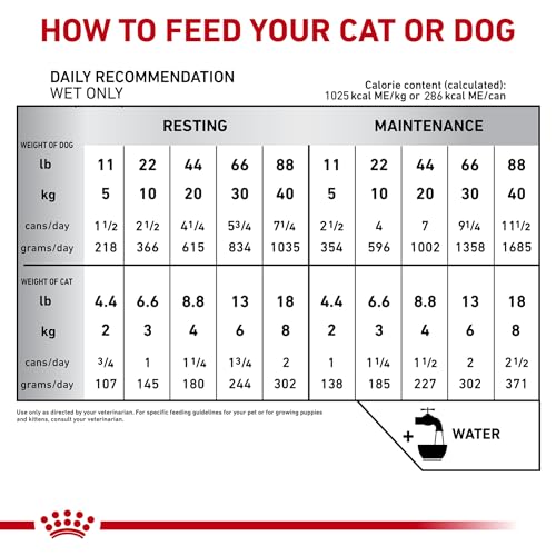 ROYAL CANIN Veterinary Diet Feline and Canine Recovery Adult Ultra Soft Mousse in Sa