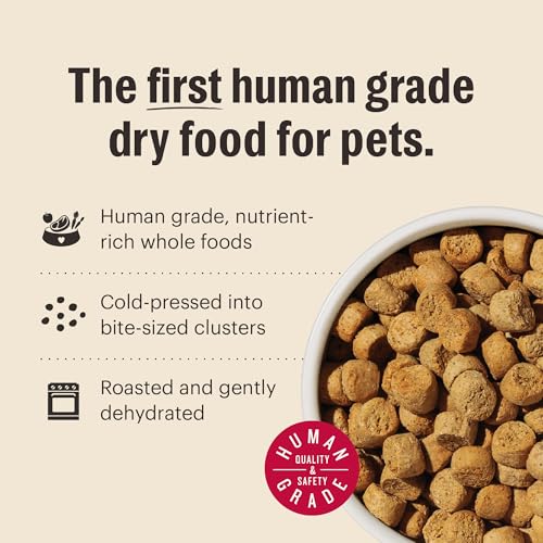 The Honest Kitchen Whole Food Clusters Whole Grain Chicken & Oat Dry Dog Food