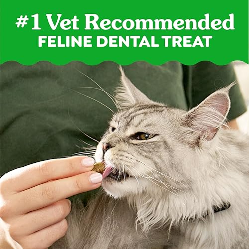 Greenies Feline Natural Dental Cat Treats, Roasted Chicken Flavor (9.75 oz)