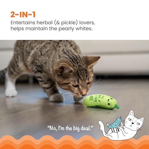 Catstages Crunchy Pickle Kicker Chew Cat Toy, Catnip & Dental Mesh, 6.5"