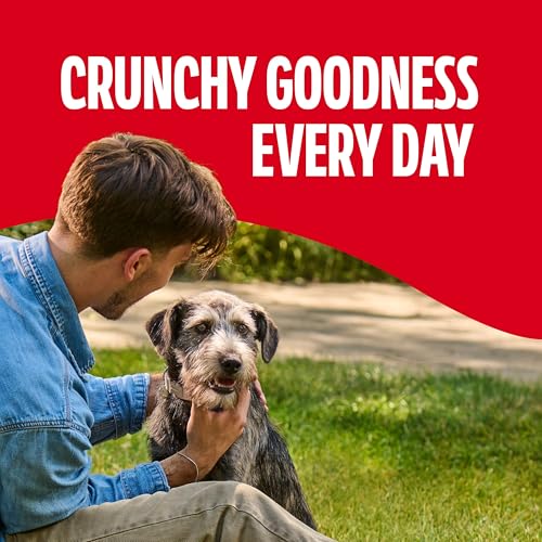 Milk-Bone Original Medium Dog Biscuits (10 lb)