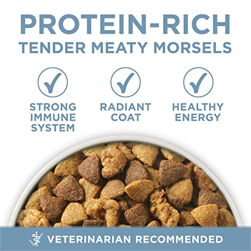 Purina ONE Plus Joint Health Dry Dog Food, Chicken