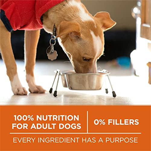 Purina ONE Plus Healthy Weight Dry Dog Food, Real Turkey