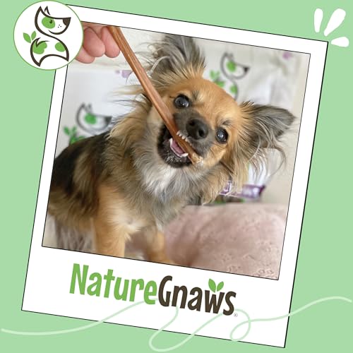 Nature Gnaws Large Bully Sticks 6" Rawhide Free Dog Chews (3 oz)