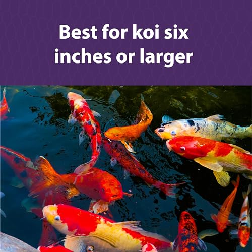 Mazuri Koi Pond Nuggets