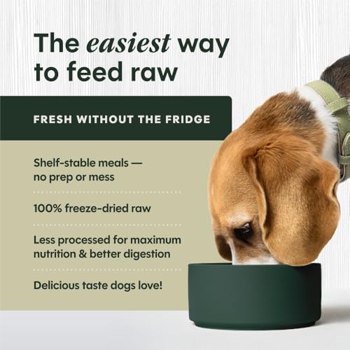 Instinct Freeze Dried Raw Meals Grain Free Dog Food, Dry, Freeze Dried, Raw, Beef