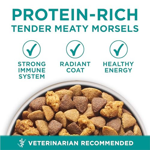 Purina ONE Plus Digestive Health Formula Dry Dog Food Natural with Added Vitamins