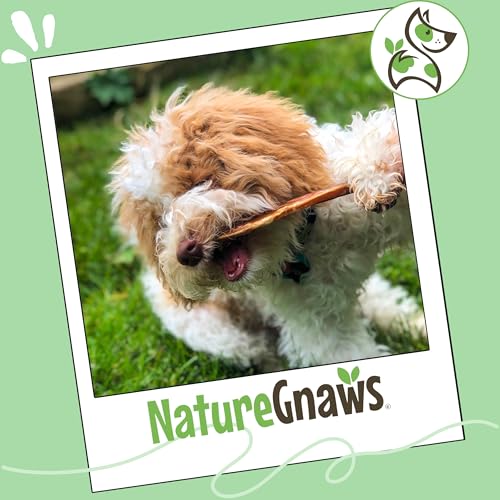 Nature Gnaws Large Bully Sticks 6" Rawhide Free Dog Chews (3 oz)