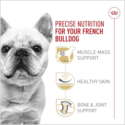 ROYAL CANIN French Bulldog Adult Dry Dog Food