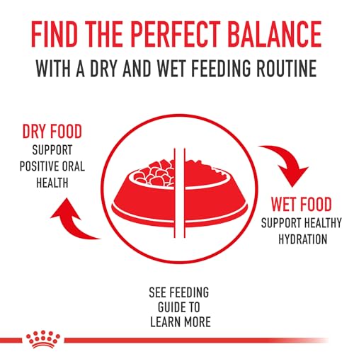ROYAL CANIN Breed Health Nutrition Golden Retriever Adult Dry Dog Food