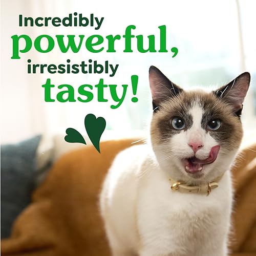 Greenies Feline Natural Dental Cat Treats, Roasted Chicken Flavor (9.75 oz)