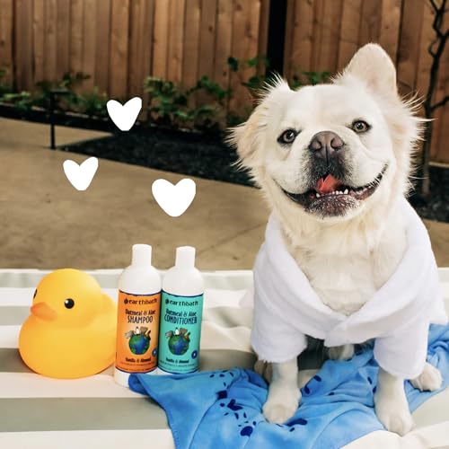 earthbath Oatmeal & Aloe Dog Shampoo, Itchy, Dog Wash, 16 Oz