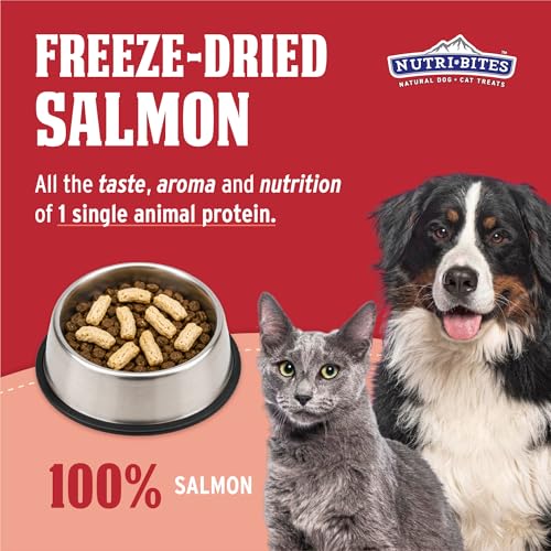 Nutri Bites Freeze Dried Salmon Dog & Cat Treats, Single Ingredient (14 oz)