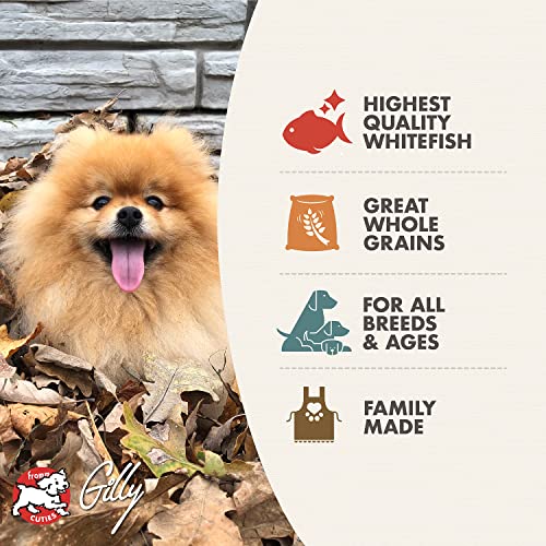 Fromm Four-Star Nutritionals Whitefish & Potato Dog Food - Premium Dry Dog Foo