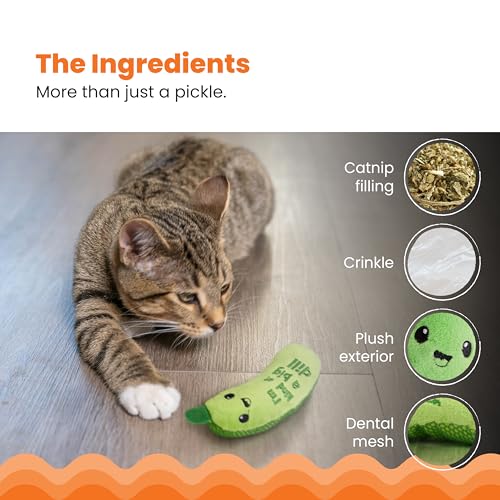 Catstages Crunchy Pickle Kicker Chew Cat Toy, Catnip & Dental Mesh, 6.5"