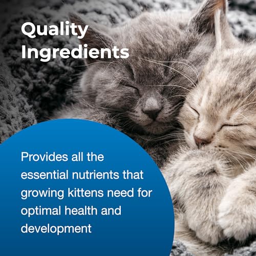 PetAg KMR Kitten Milk Replacer Powder - 12 oz - Powdered Kitten Formula with Prebiot
