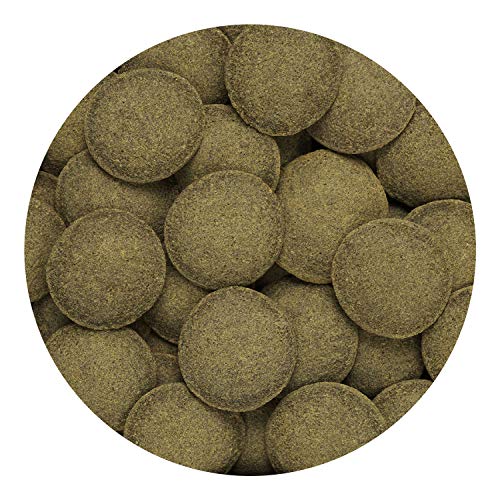 Hikari Algae Wafers