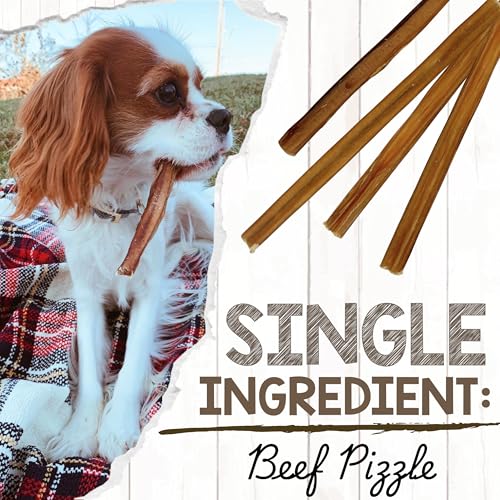 Nature Gnaws Large Bully Sticks 6" Rawhide Free Dog Chews (3 oz)