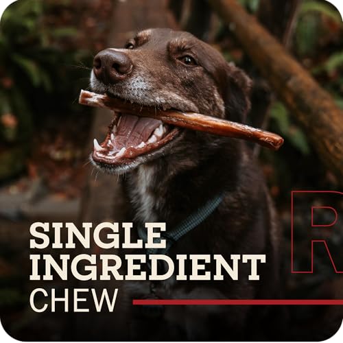 Redbarn Pet Products All Natural 5"-8" Bully Sticks for Small & Large Dogs - Healthy Long Las (8 oz)
