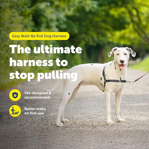 PetSafe Easy Walk Harness, No Pull Dog Harness, Charcoal Gray, Medium/Large