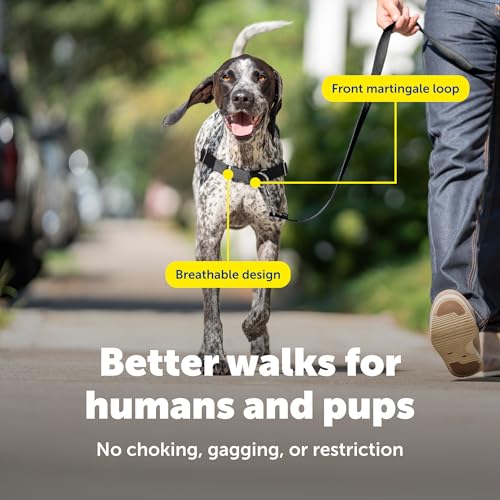 PetSafe Easy Walk Harness, No Pull Dog Harness, Charcoal Gray, Medium/Large