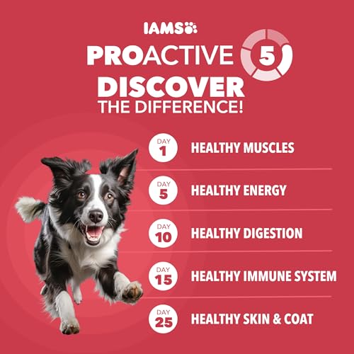 IAMS Proactive Health Minichunks Dry Dog Food, Lamb & Rice