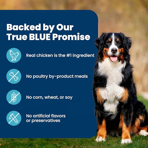 Blue Buffalo Life Protection Formula Chicken Adult Dry Dog Food