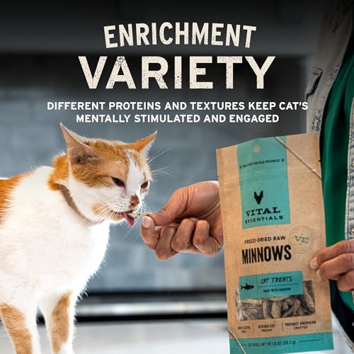 Vital Essentials Freeze Dried Minnows Cat Treats (1.0 oz)