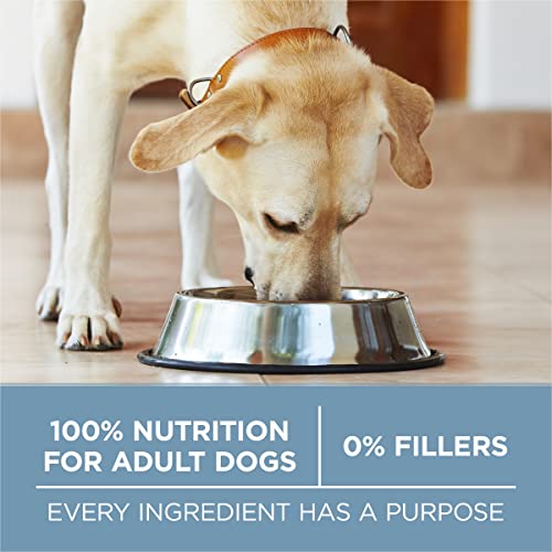 Purina ONE Plus Joint Health Dry Dog Food, Chicken