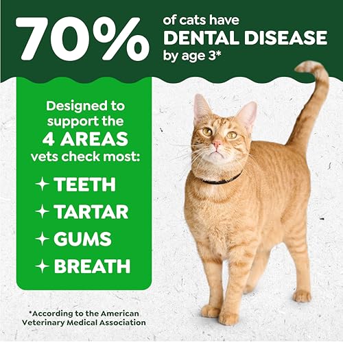 Greenies Feline Natural Dental Cat Treats, Roasted Chicken Flavor (9.75 oz)