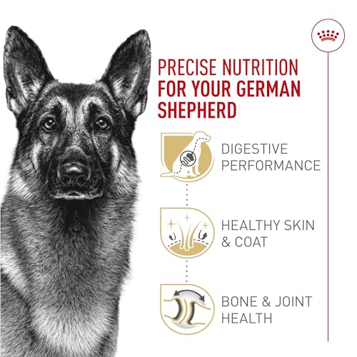 ROYAL CANIN German Shepherd Adult Dry Dog Food