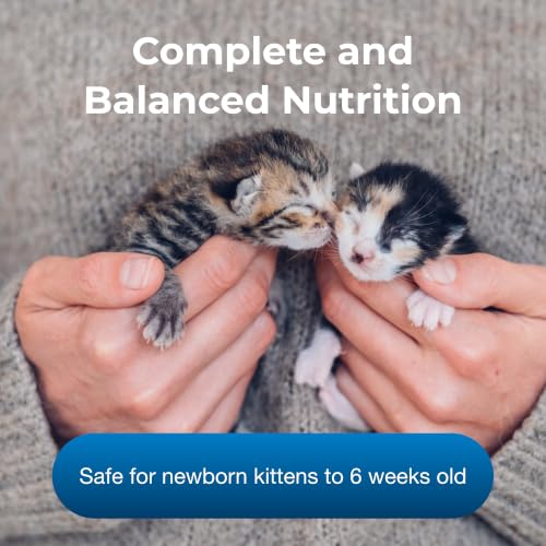PetAg KMR Kitten Milk Replacer Powder - 12 oz - Powdered Kitten Formula with Prebiot
