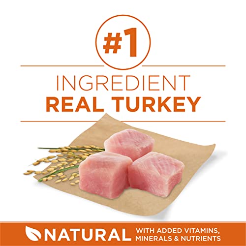 Purina ONE Plus Healthy Weight Dry Dog Food, Real Turkey