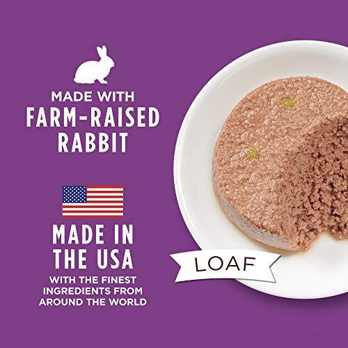 Instinct Limited Ingredient Diet Wet Dog Food, Rabbit