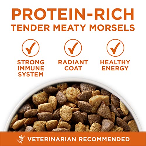 Purina ONE Plus Healthy Weight Dry Dog Food, Real Turkey