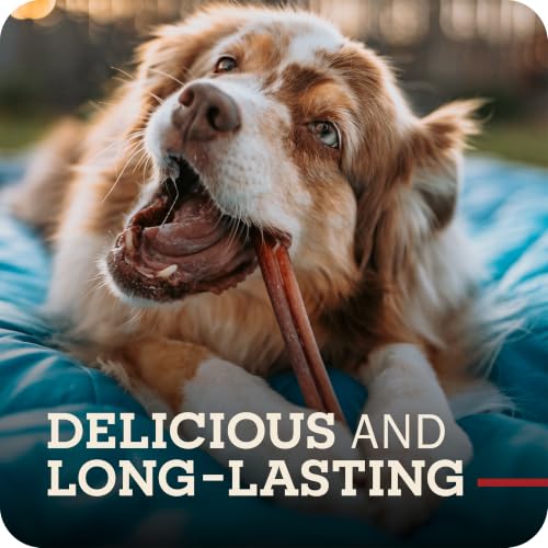 Redbarn Pet Products All Natural 5"-8" Bully Sticks for Small & Large Dogs - Healthy Long Las (8 oz)