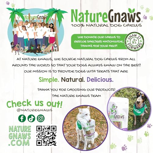Nature Gnaws Large Bully Sticks 6" Rawhide Free Dog Chews (3 oz)