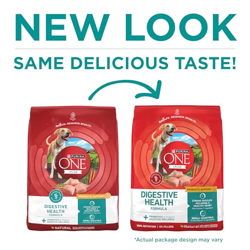 Purina ONE Plus Digestive Health Formula Dry Dog Food Natural with Added Vitamins