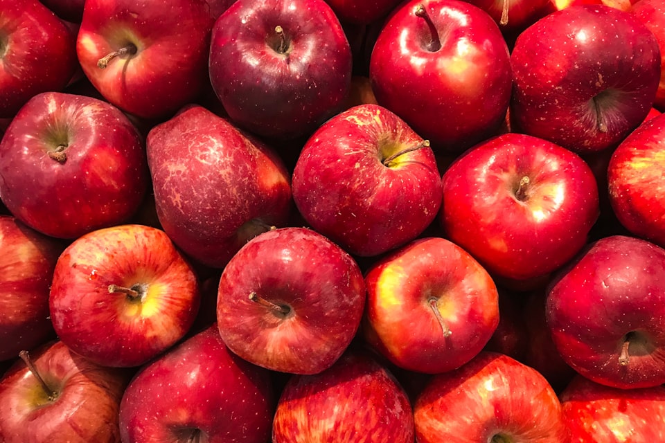 Small peeled apple pieces prepared for a cat