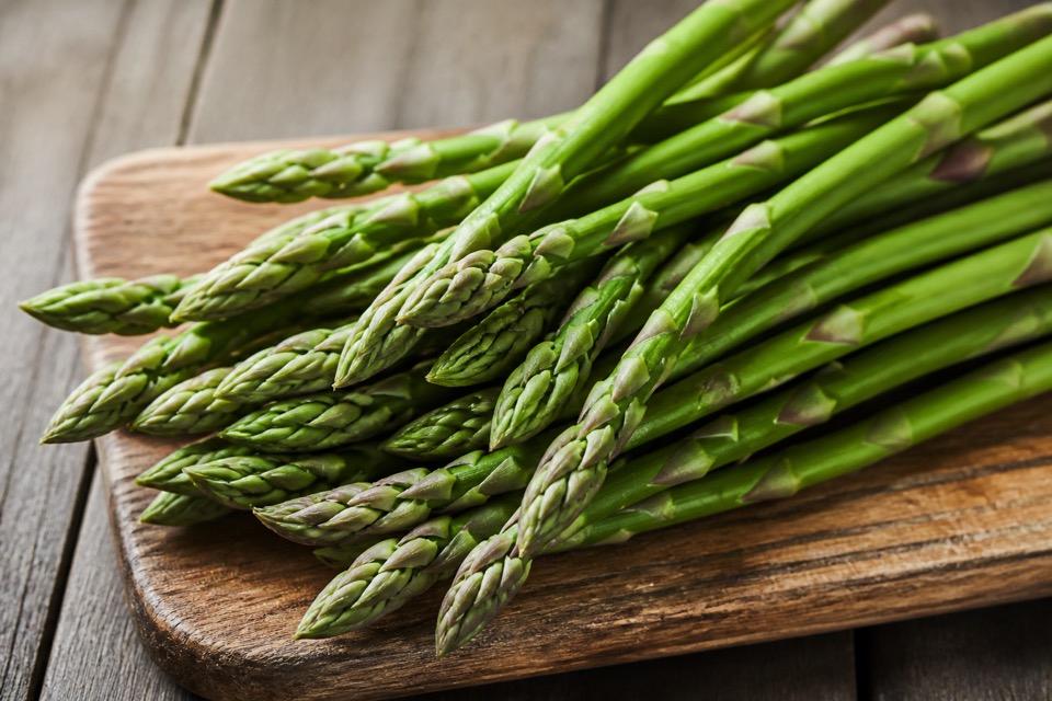Plain cooked asparagus pieces prepared for a dog