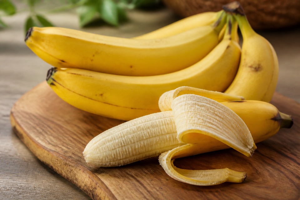Small banana slices prepared for a dog