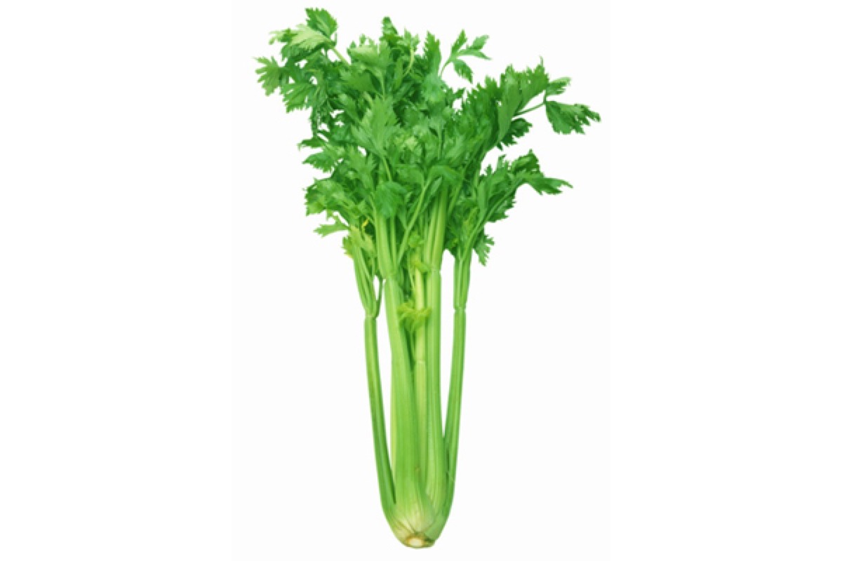 Chopped celery sticks