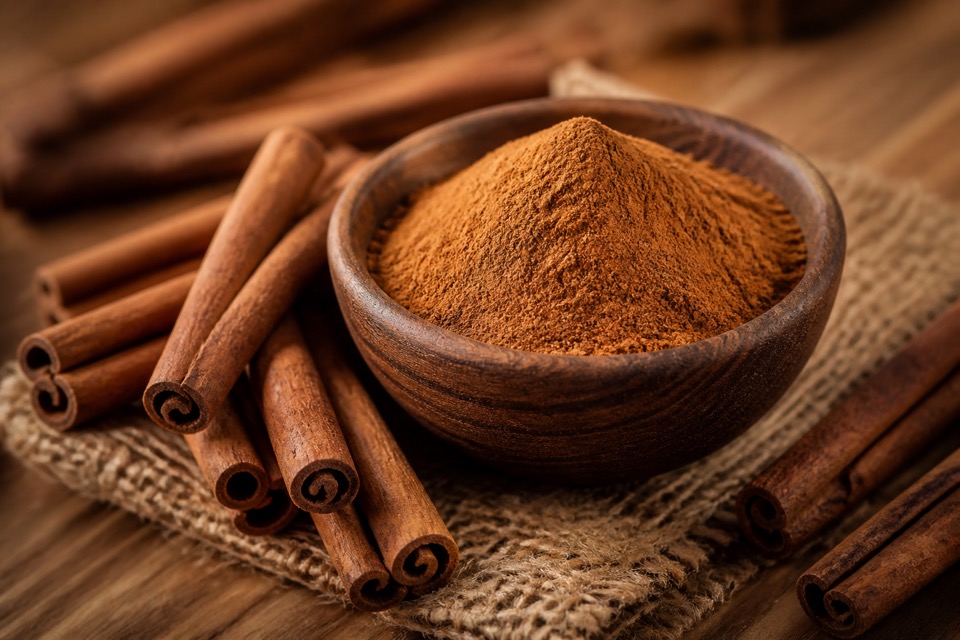 A small sprinkle of plain cinnamon beside a dog treat