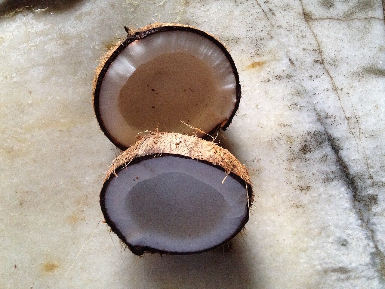 Fresh coconut flesh pieces
