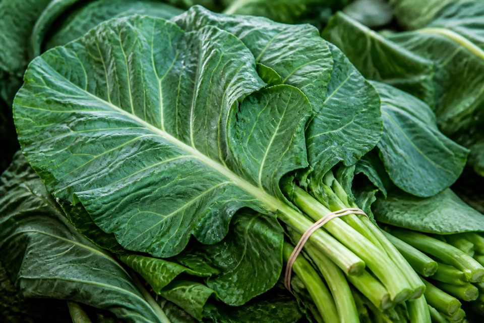 Fresh collard greens