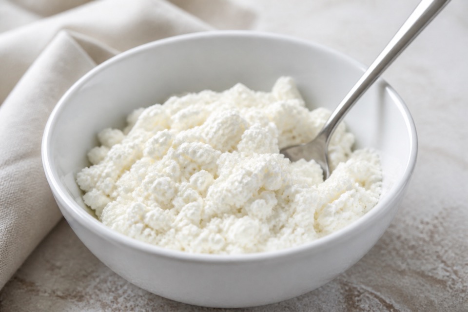 A small spoonful of plain cottage cheese for a dog