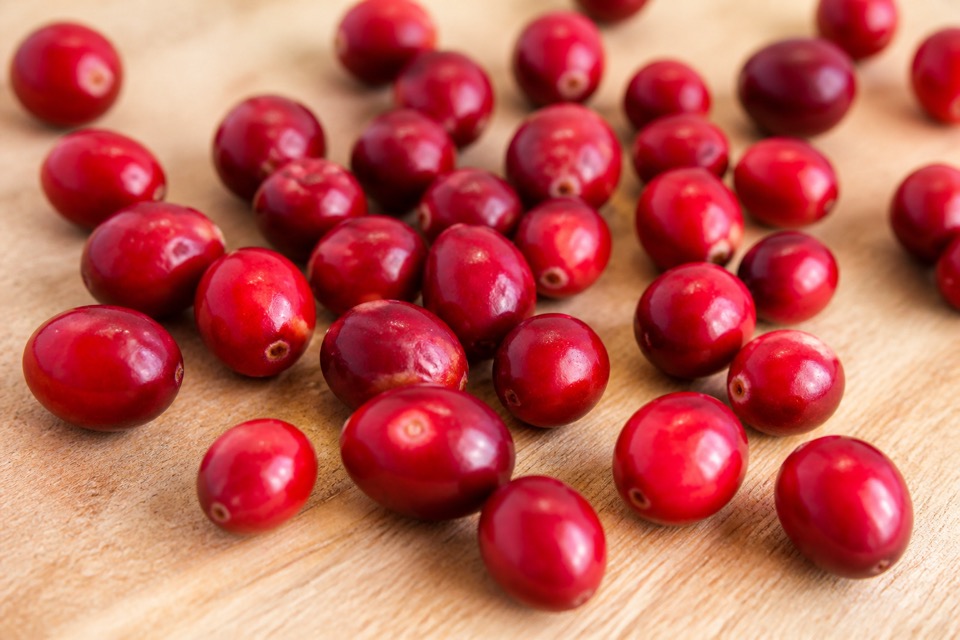 A few plain fresh cranberries beside a dog