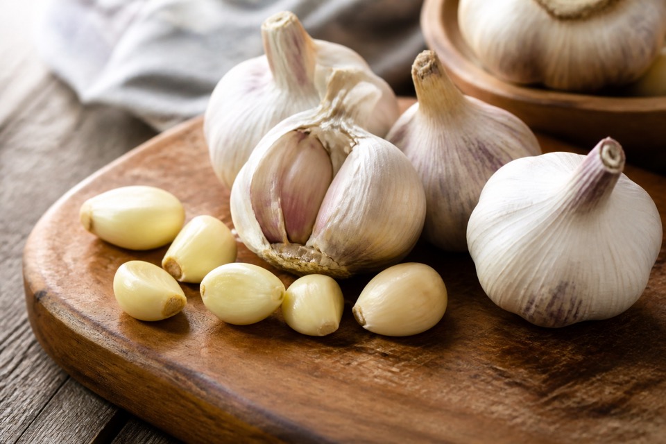 Garlic cloves kept safely away from a dog
