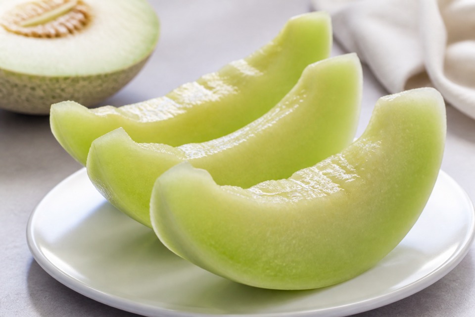 Small honeydew cubes prepared for a dog
